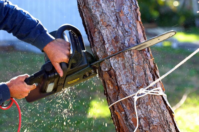 Fallen Tree Removal in Bucks County, PA