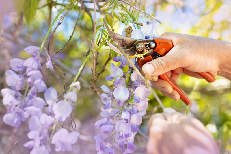 Inside Wisteria Trimming